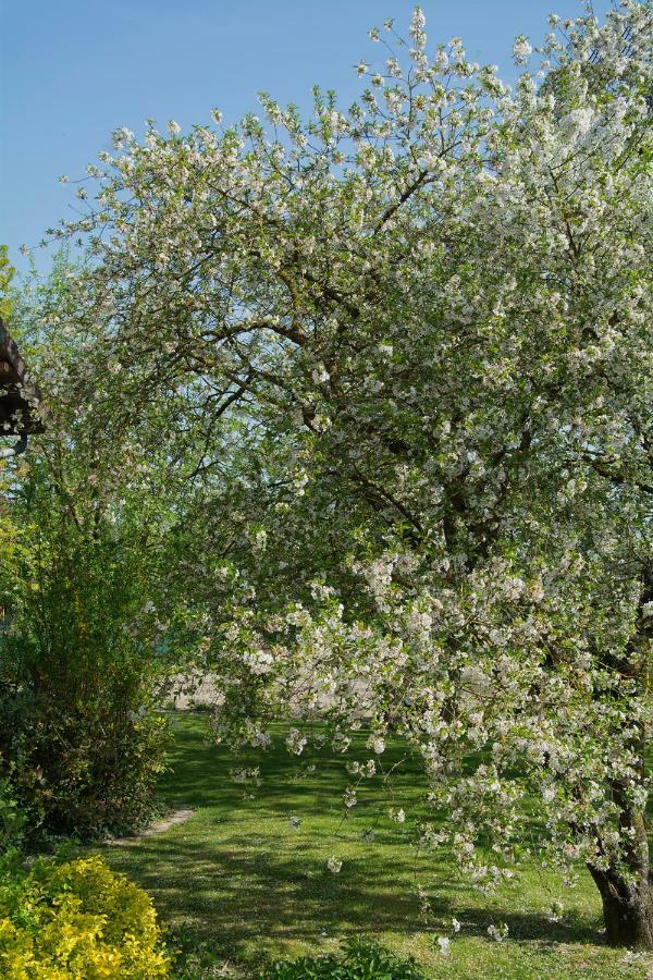Les Rendzines Bed & Breakfast Nuisement-sur-Coole Bagian luar foto